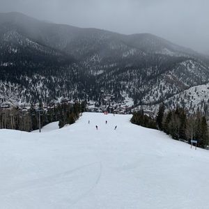 Meet your Posher, Zachary